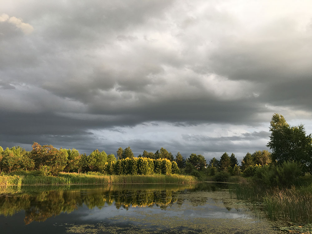 A reflective pond