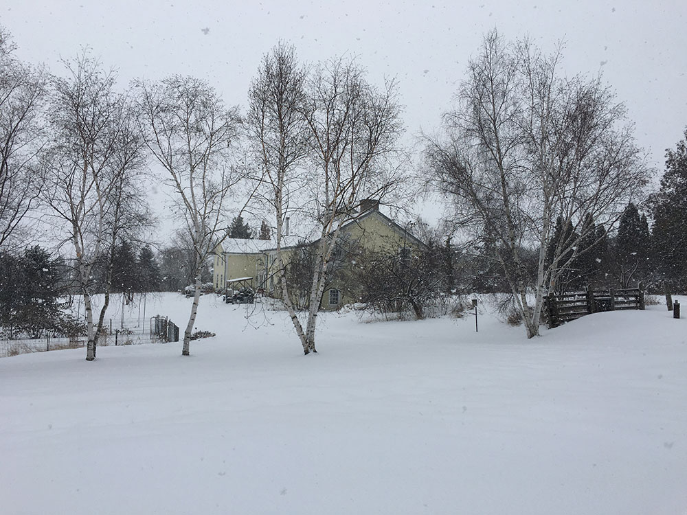 A house and field covered in snow